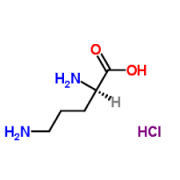 D-Ornithine Monohydrochloride  CAS:16682-12-5 98.5%～101.0%
