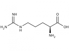 L-Arginine  CAS:74-79-3 98.5%～101.0%