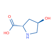 L-Hydroxyproline  CAS:51-35-4 98.5%～101.0%