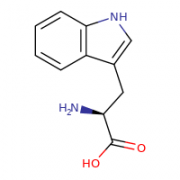 L-Tryptophan  CAS:73-22-3 98.5%～101.0%