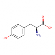 L-TYROSINE  CAS:60-18-4 98.5%～101.0%