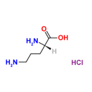 L-Ornithine Monohydrochloride  CAS:3184-13-2 98.5%～101.0%